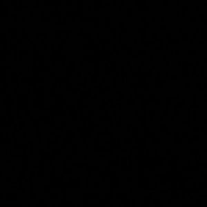 Meet your Posher, Kennan